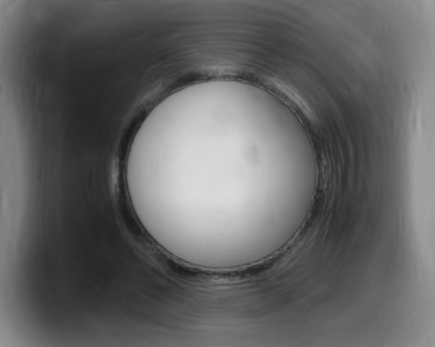 X0000099470494200805090816