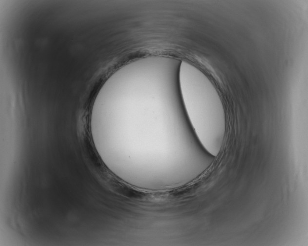 X0000099470495200805090816