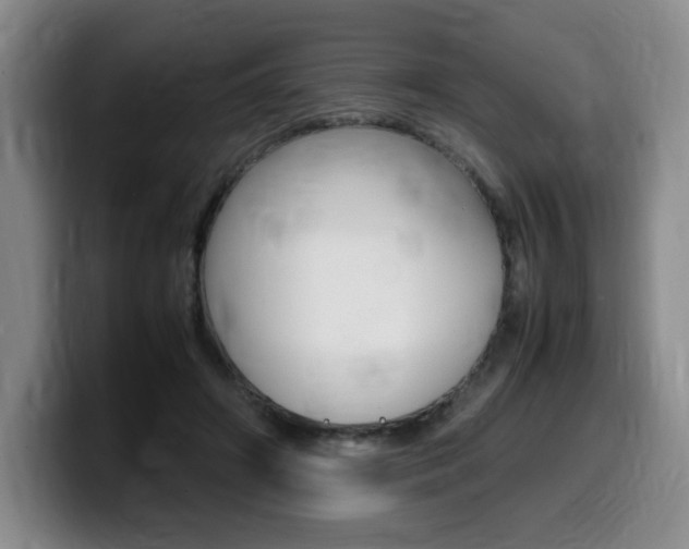 X0000099470498200805090816
