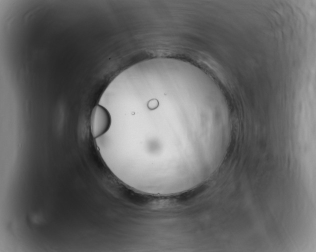 X0000099470499200805090816