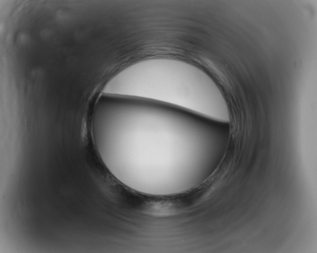 X0000099470500200805090816