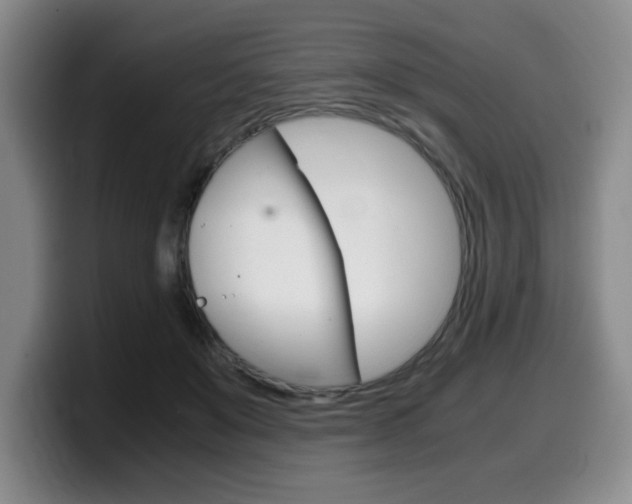 X0000099470503200805090816