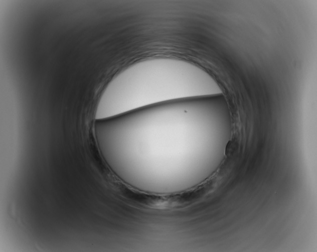 X0000099470504200805090816