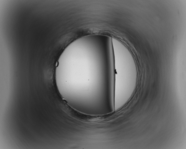 X0000099470505200805090816