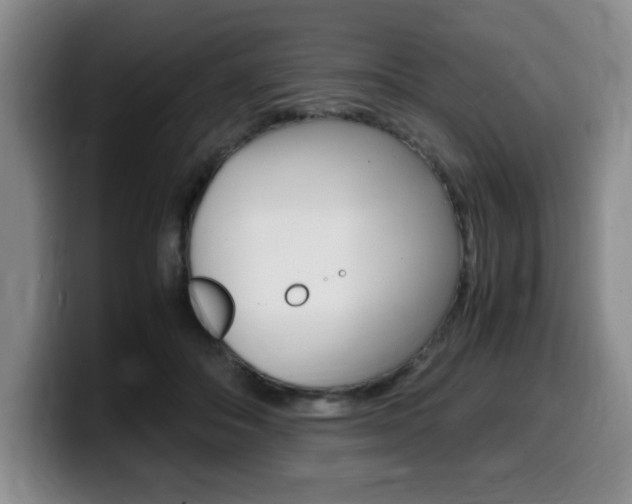 X0000099470506200805090816