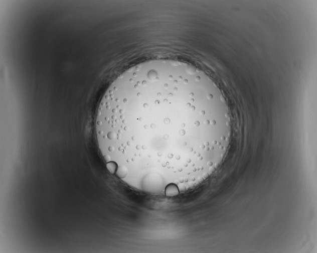 X0000099470507200805090816