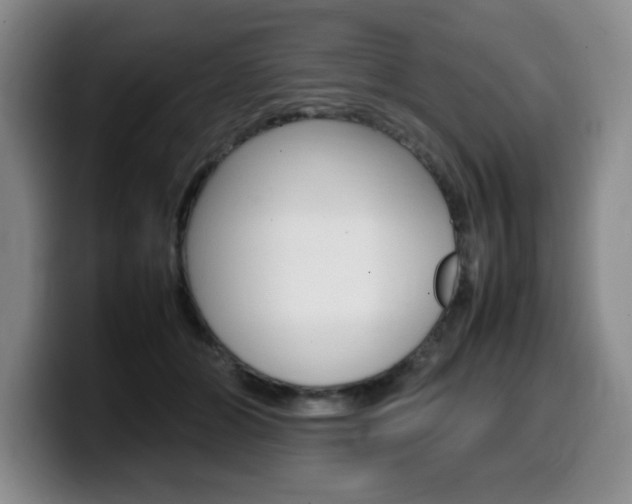 X0000099470510200805090816