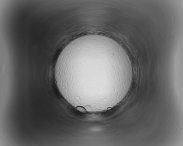 X0000099470511200805090816