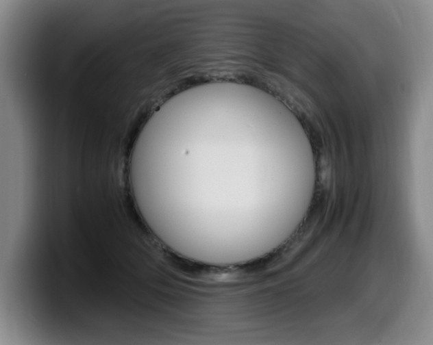 X0000099470514200805090816