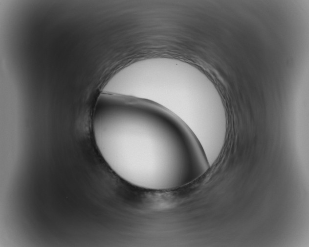 X0000099470517200805090816