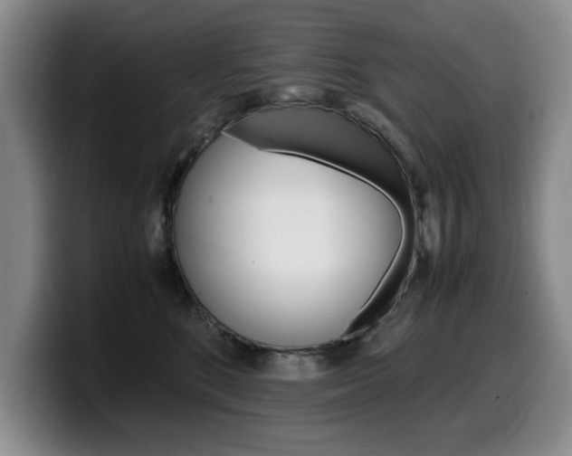 X0000099470520200805090816