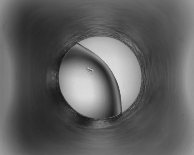 X0000099470521200805090816
