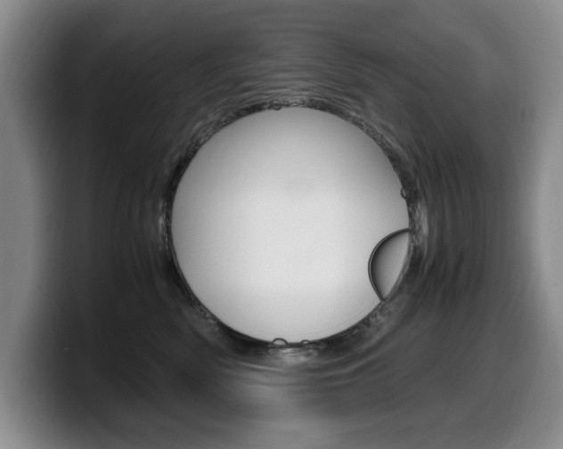 X0000099470522200805090816