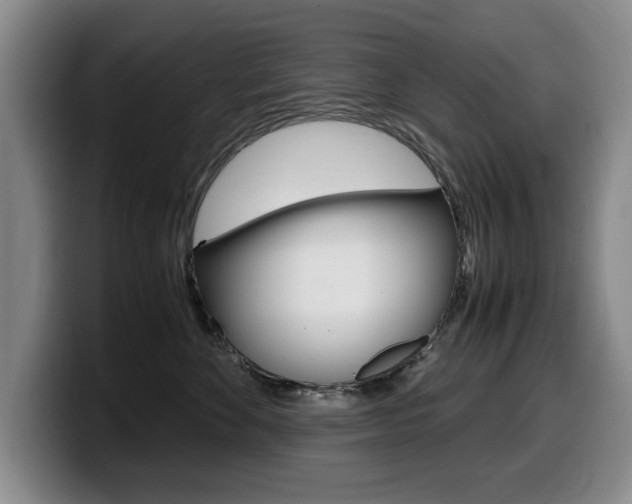 X0000099470524200805090816