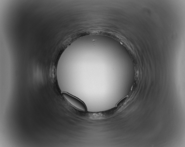 X0000099470525200805090816