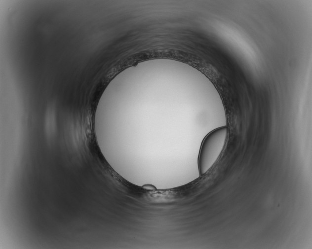 X0000099470526200805090816