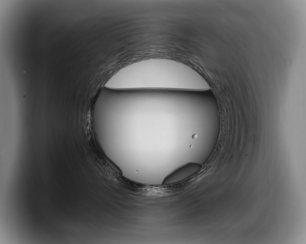 X0000099470528200805090816