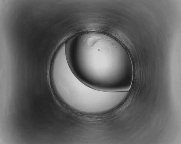 X0000099470530200805090815