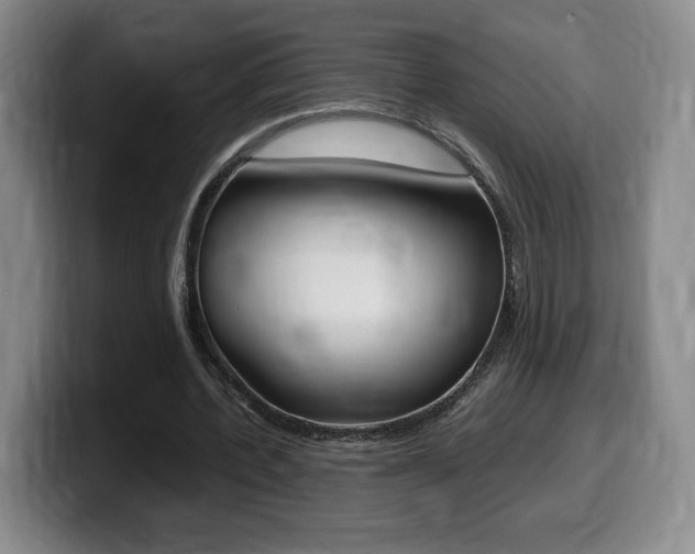 X0000099470532200805090815