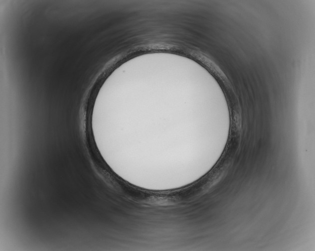 X0000099470534200805090815