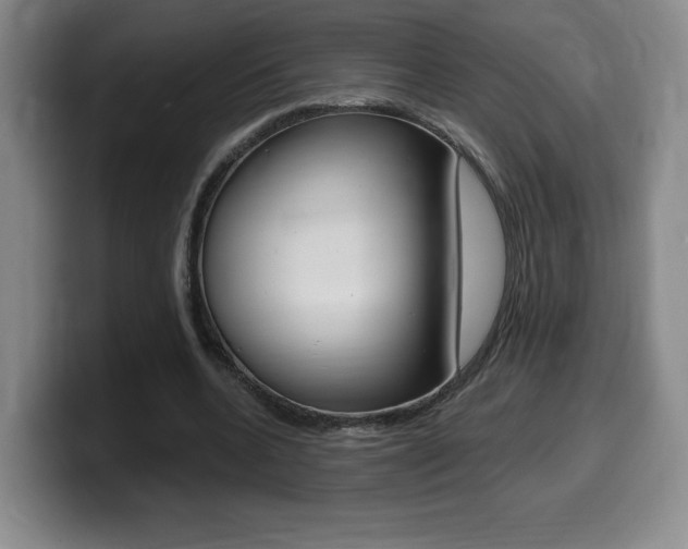 X0000099470536200805090815