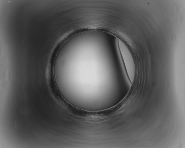 X0000099470540200805090815