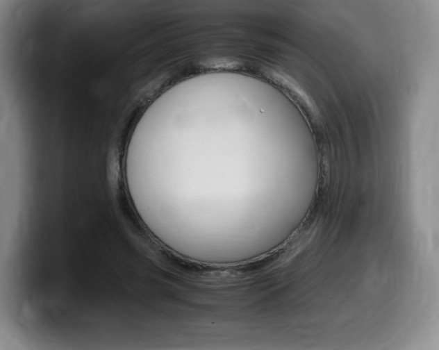 X0000099470541200805090815