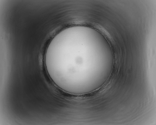 X0000099470542200805090815