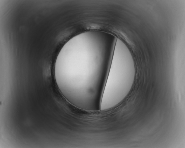 X0000099470543200805090815