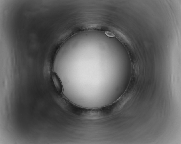 X0000099470546200805090815