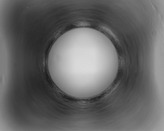 X0000099470549200805090815
