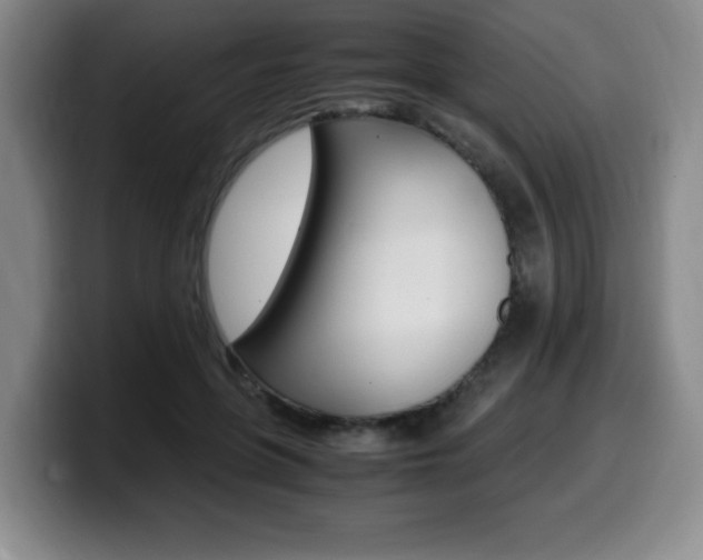 X0000099470551200805090815
