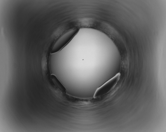 X0000099470552200805090815