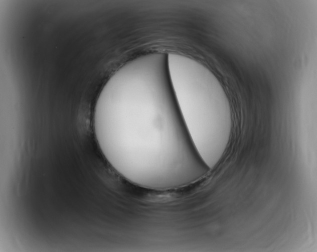 X0000099470553200805090815