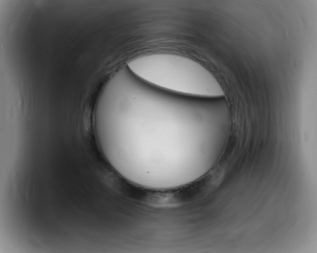 X0000099470554200805090815