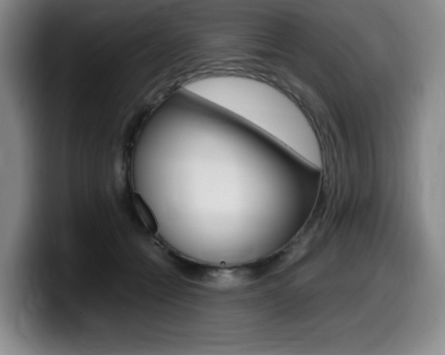 X0000099470558200805090815