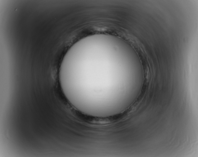 X0000099470559200805090815