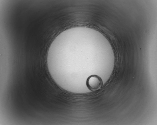 X0000099470560200805090815