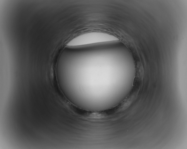 X0000099470562200805090815