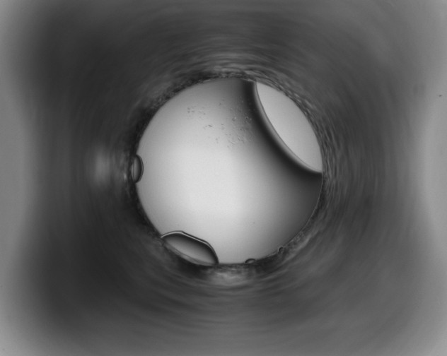 X0000099470567200805090816