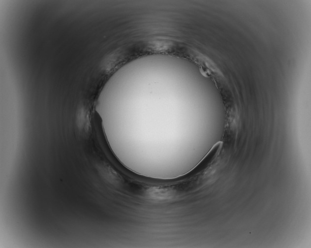 X0000099470568200805090816