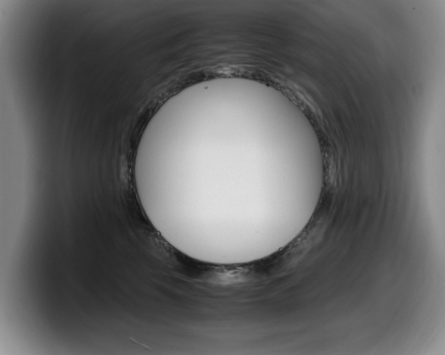 X0000099470569200805090816