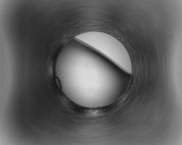X0000099470570200805090816