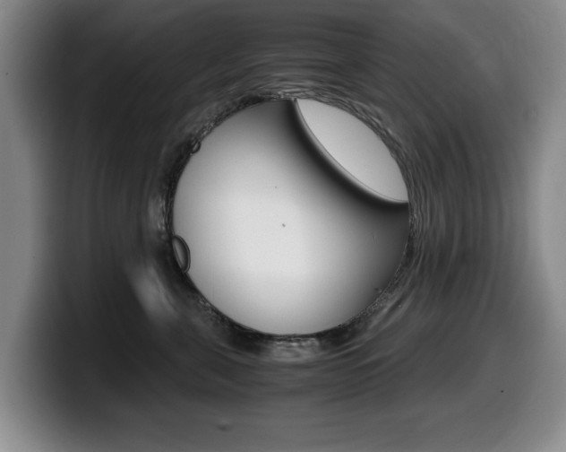 X0000099470571200805090816