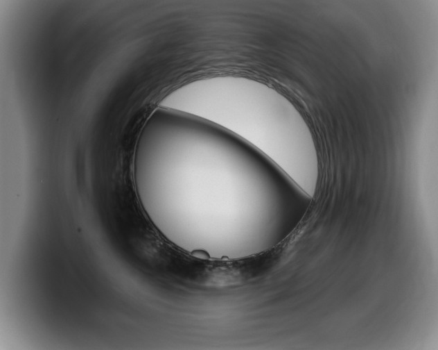 X0000099470572200805090816