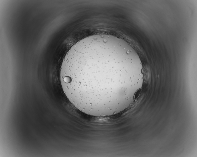 X0000099470573200805090816