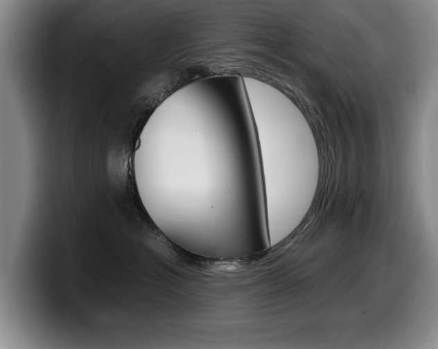 X0000099470574200805090816