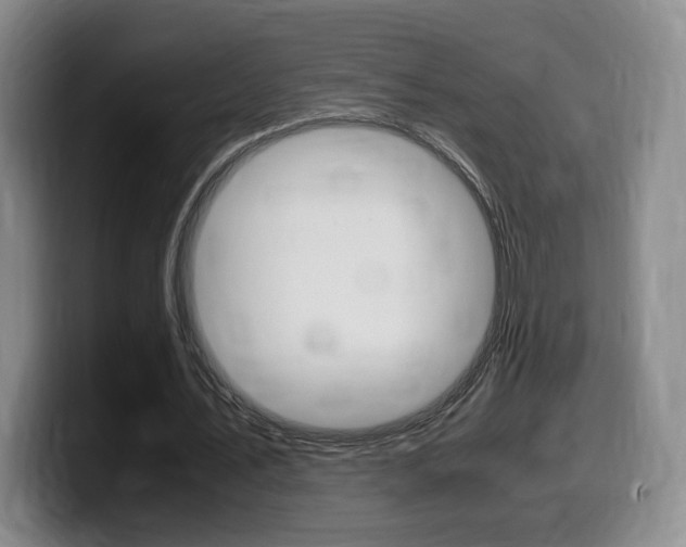 X0000099470579200805090815