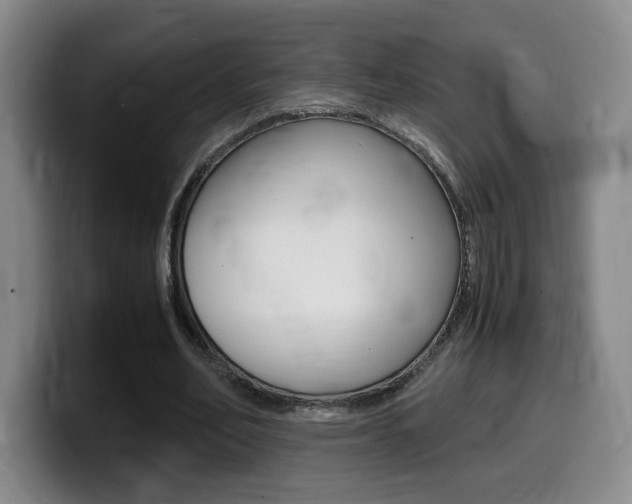 X0000099470582200805090815