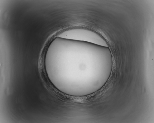 X0000099470583200805090815